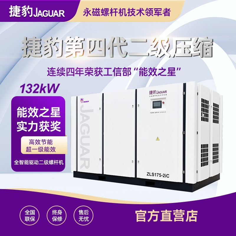 Máy nén khí trục vít 2 đầu bơm ZLS175-2iC