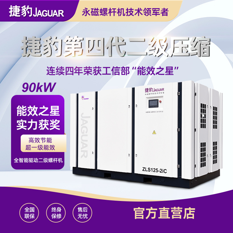 Máy nén khí trục vít 2 đầu bơm ZLS125-2iC