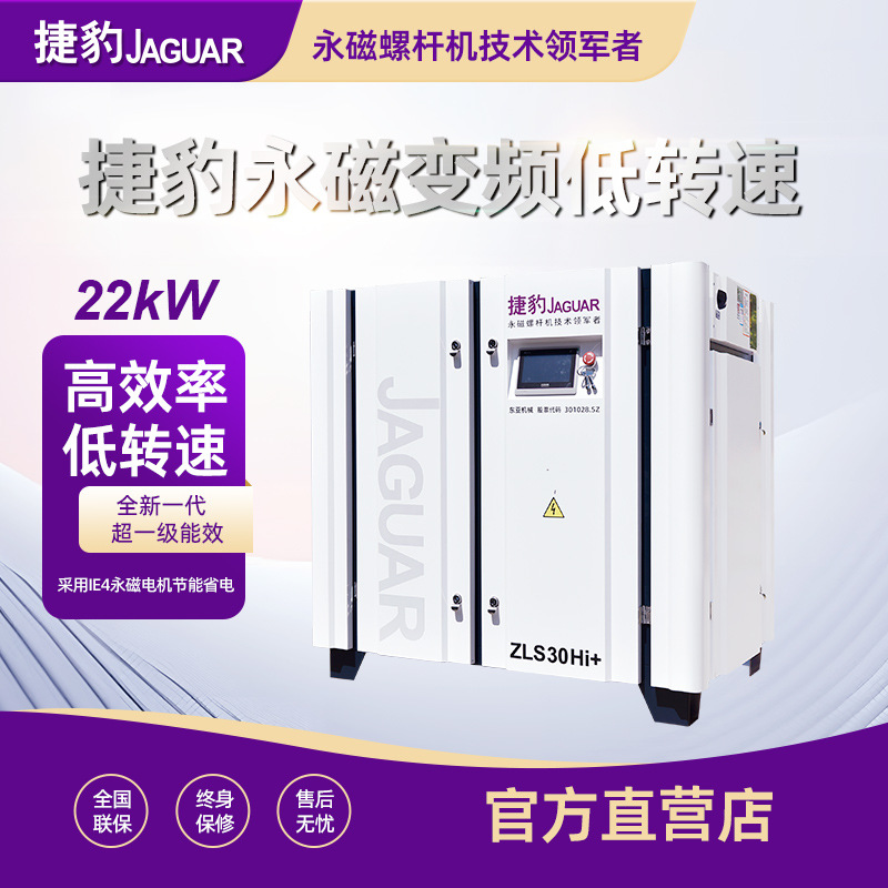 Máy nén khí trục vít 2 đầu bơm ZLS30-2iC