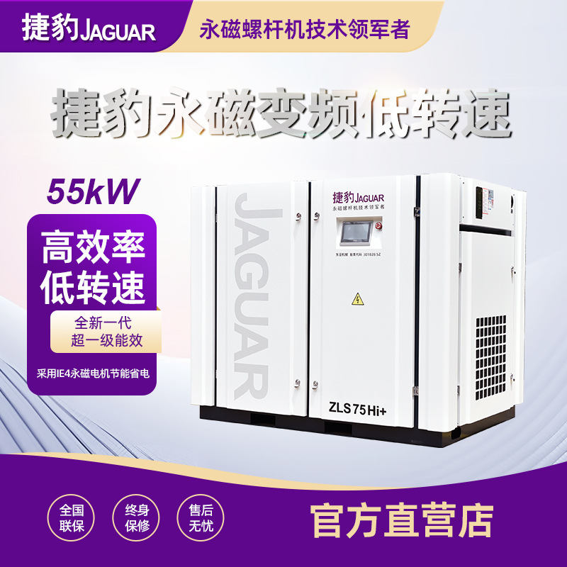 Máy nén khí trục vít 2 đầu bơm ZLS75-2iC